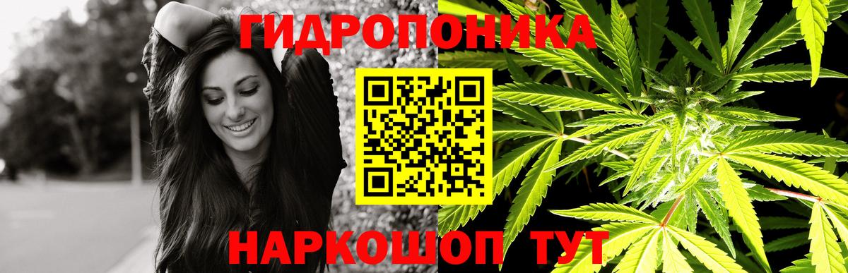 Бошки Шишки гибрид Воронеж